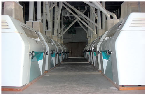 150噸小麥磨粉設(shè)備